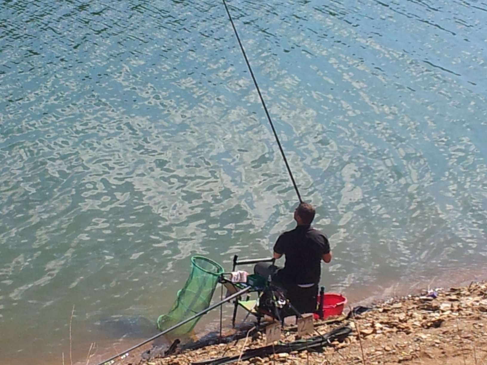 11984374 10200644376749947 1560259518 o